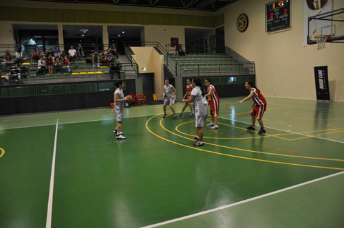 sbbl (130)